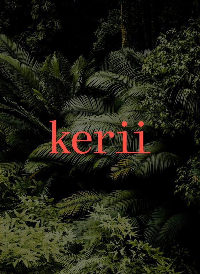 Kerii - Adults Boutique Hotel Saalbach-Hinterglemm Ngoại thất bức ảnh
